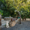 Отель Gir Lions Paw Resort, фото 15