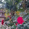 Апартаменты Новые в центре Сочи, фото 18