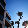 Апарт-Отель Green Hills Suites, фото 3