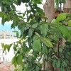 Гостиница Частный дом с видом на море рядом с пляжем, фото 20