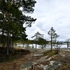 Гостиница Глэмпинг Lago Ladoga, фото 17