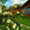Отель Дивный дворик Park & Spa Hotel, фото 10