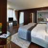 Отель Elite World Grand Istanbul Basın Ekspres Hotel, фото 20