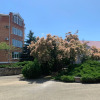 Отель Звездочка, фото 16
