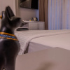 Отель Classio Suite Hotel, фото 6