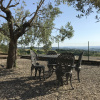 Отель Tenuta San Savino delle Rocchette, фото 8