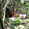 Гостевой дом Nhon Thanh Homestay, фото 7