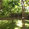 Апартаменты Garden Budva - 3 bedrooms, фото 2