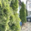 Отель ЛооБич Горный воздух, фото 7