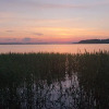 Гостиница Глэмпинг Носороги, фото 30