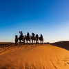 Отель Кемпинг Aroma Desert Safari, фото 19