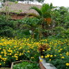 Отель Ninh Binh Eco Garden, фото 25