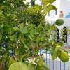 Апартаменты Azzurro Luxury Holiday Villas, фото 46