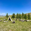 Отель База отдыха Bayan Mongolian Resort, фото 4