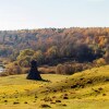 Гостиница Арт-Парк Никола-Ленивец, фото 6