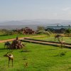 Отель Ngorongoro Oldeani Mountain Lodge в Карату