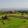 Отель Ngorongoro Oldeani Mountain Lodge, фото 1