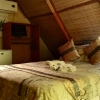 Хостел Elephant Trail Guesthouse and Backpackers, фото 6