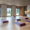 Отель Euphoria Retreat - A Holistic Wellbeing Destination Spa, фото 18