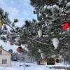 Гостиница База отдыха Эко-хутор Ряйсяля - Райский Сад, фото 22