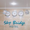 Отель Skybridge, фото 21