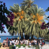 Отель Toka Bodrum Hotel & Beach Club, фото 6
