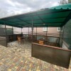Гостевой дом Олимп, фото 7