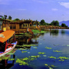 Отель Shiraz Deluxe Houseboat, фото 4