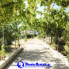 Отель Вилла Pefki Beach Front, фото 3