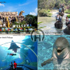 Отель Вилла YAI LAND - The Tropical - Pattaya Jomtien, фото 31