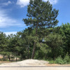 Гостиница Частный дом Этаж в элитном доме, фото 14