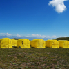 Отель Глэмпинг Achik-Tash Base Camp, фото 8