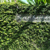 Гостевой дом Seven Senses, фото 3