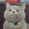 Тест отель (НЕ ЯВЛЯЕТСЯ ОТЕЛЕМ - НЕ ДЛЯ БРОНИРОВАНИЯ) , фото 5