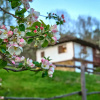Отель Karashka house, фото 15