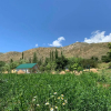 Гостевой дом Atai Guesthouse, фото 1