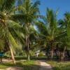 Курортный Отель Le Vasseur La Buse Eco Resort, фото 24