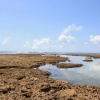 Отель Вилла Pousada-Cacau do Morro, фото 11