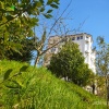 Гостевой дом Town park, фото 27
