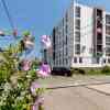 Апартаменты More Apartments на Тростниковой 35-1, фото 18