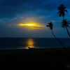 Отель Trincomalee Beach Resort & Spa, фото 8