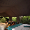 Отель Кемпинг Wild Trails Yala Eco Camp by Yoho, фото 13