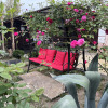 Отель Бунгало Коттеджи в Гагре, фото 7