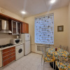 Апартаменты Chinar apartment, фото 13