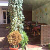 Гостиница Dom S Delfinami Guest House, фото 8
