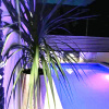 Апартаменты Rustica Zadar with private pool, фото 34