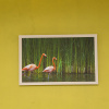 Отель Flamingo Baku, фото 7