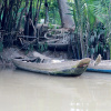 Гостевой дом Nhon Thanh Homestay, фото 21