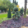 Апарт-отель inSochi Resort Apartments, фото 11