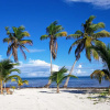 Отель Royal Caribbean Resort, фото 6